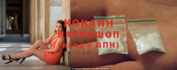 кокс Алексин
