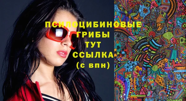 винт Алексеевка